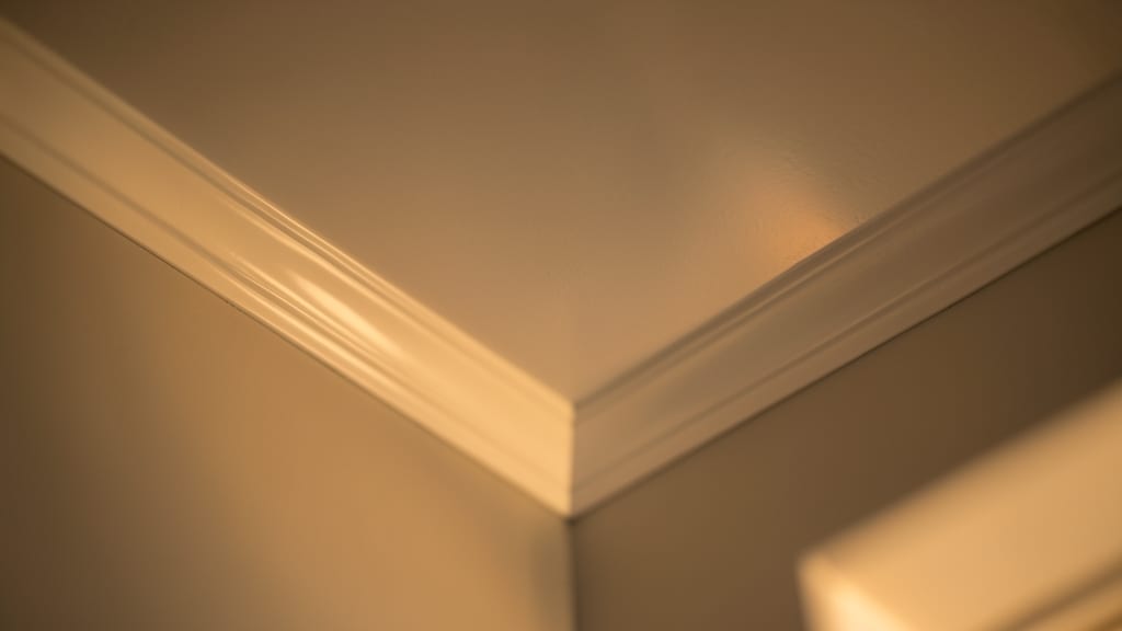The Hidden Risks of Incomplete Mold Removal in Brookline