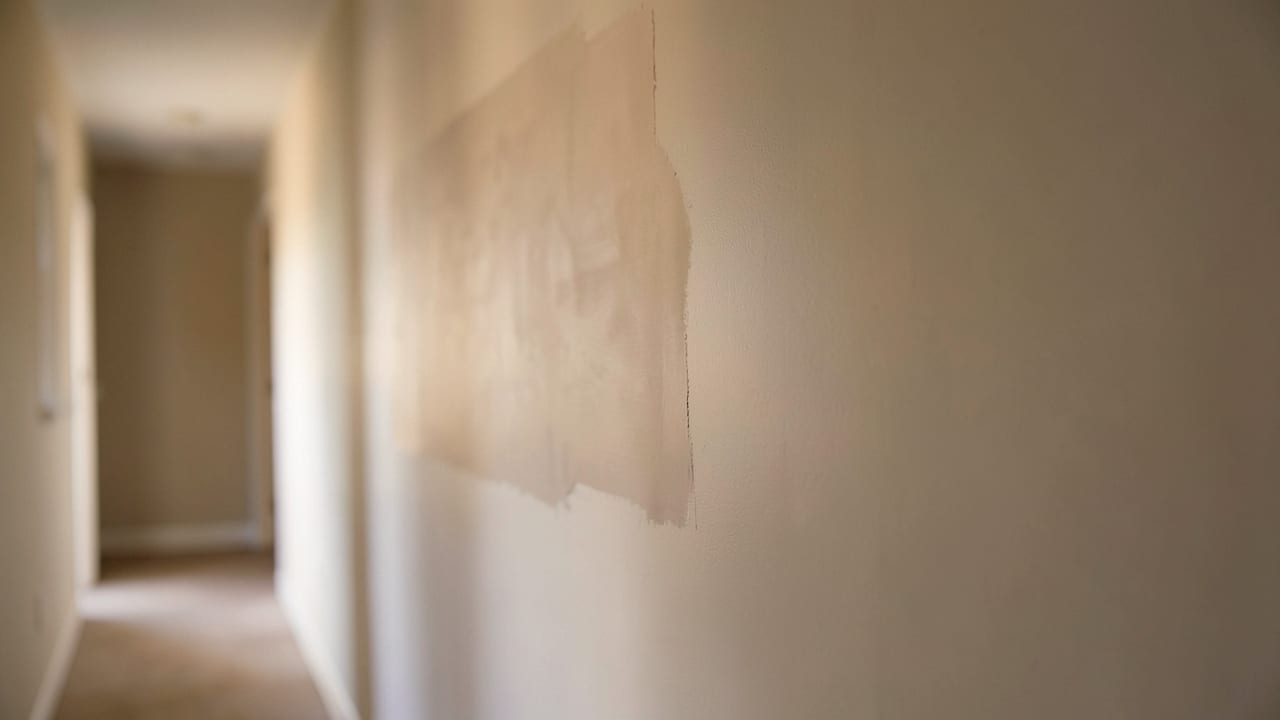 Drywall Mold Remediation in Brookline, MA in Brookline
