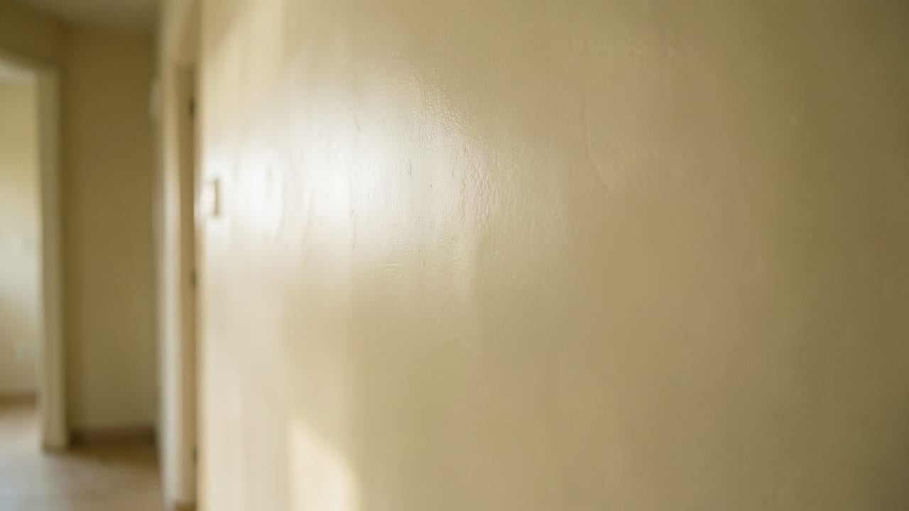 Plaster Mold Remediation in Brookline, MA in Brookline
