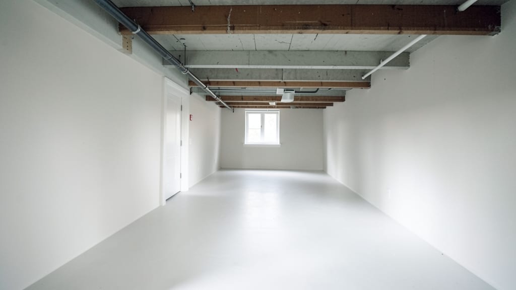 Avoiding Legal Pitfalls in Mold Remediation for Chatham