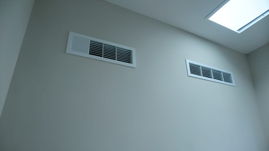 The Hidden Costs of Ignoring Mold and Mildew in Chatham