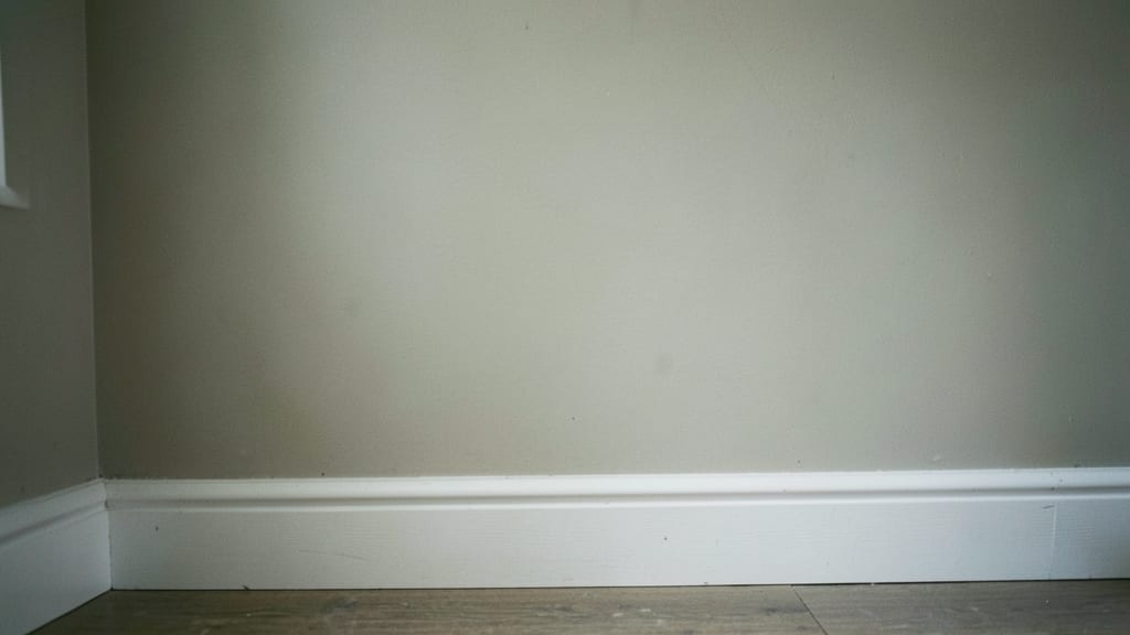 How Often Should You Inspect Your Chatham Home for Mold?
