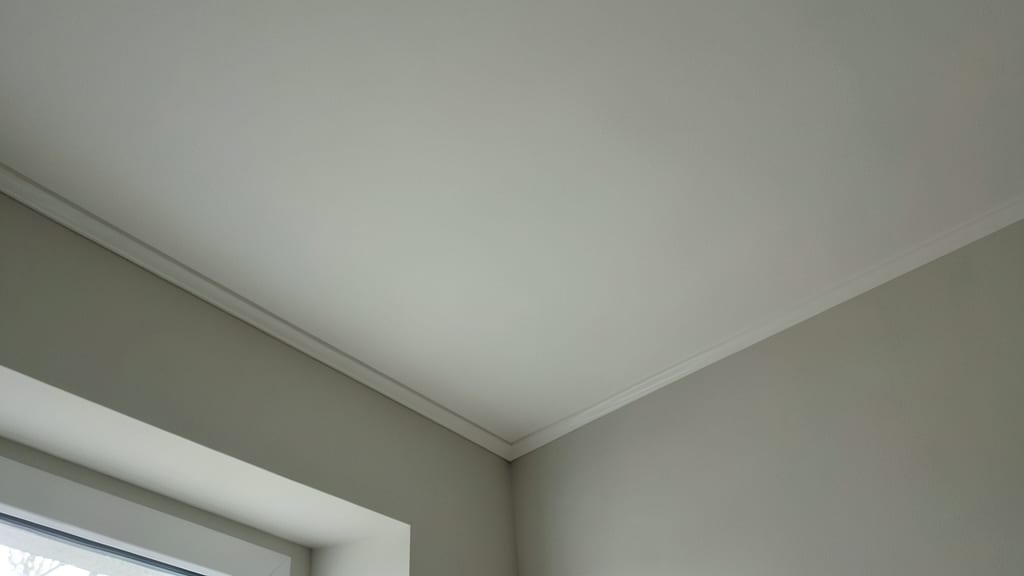 Why Species Identification Matters in Mold Remediation for Chatham Homes