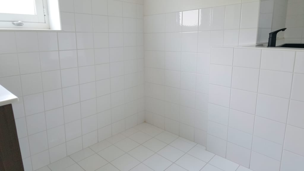 How to Keep Your Home Mold-Free After Remediation in Chatham