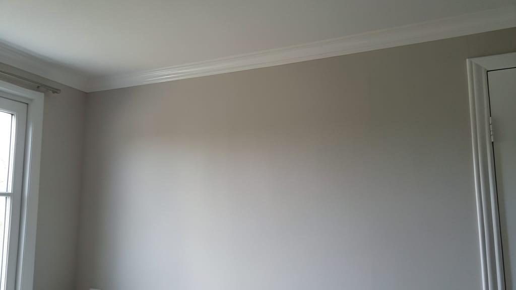 Understanding the Legal Side of Mold Remediation in Chatham