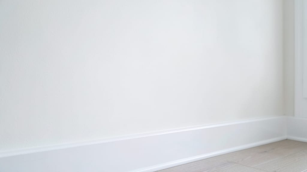 Mold in Rental Properties