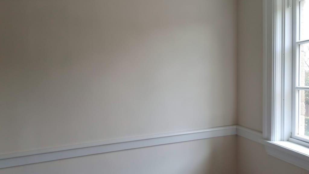 Expert Mold Prevention Tips for Older Homes in Chatham