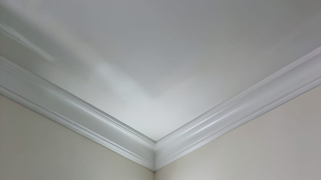 Understanding Mold Remediation Costs for Chatham Homeowners