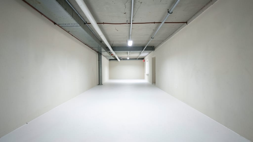 Mold vs. Mildew in Chatham