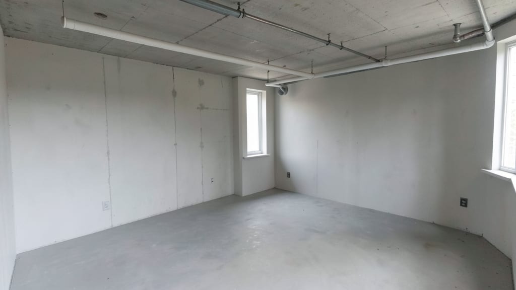 Why Professional Mold Inspection Beats DIY Kits in Chatham
