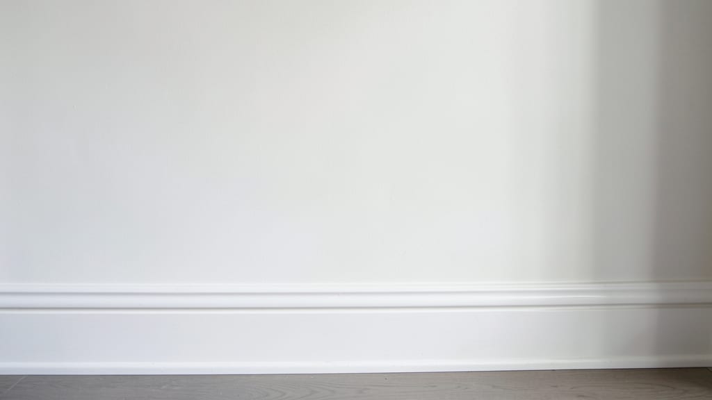 The Complete Step-by-Step Mold Remediation in Chatham