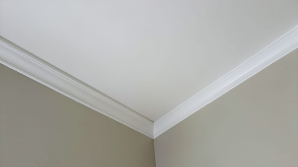 Why Proper Ventilation is Key to Stopping Mold in Chatham