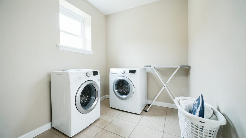 Why Even Small Mold Problems Need Clearance in Chatham