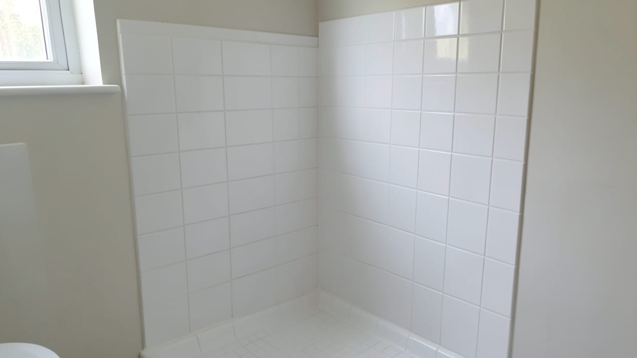 Bathroom Mold Removal in Chatham, MA in Chatham