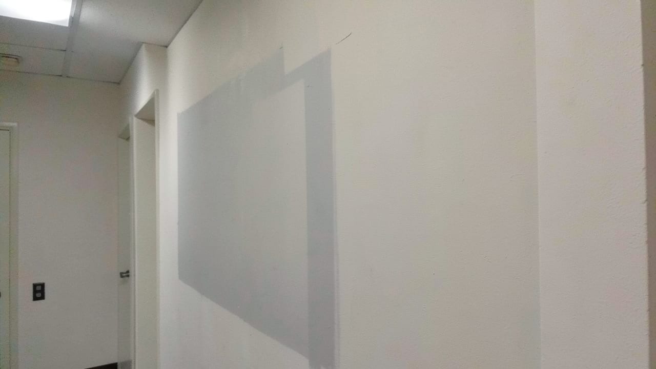 Drywall Mold Remediation in Chatham, MA in Chatham