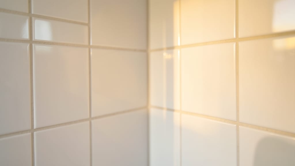 Mold Behind Walls: Detection and Removal Costs in Chesapeake Beach