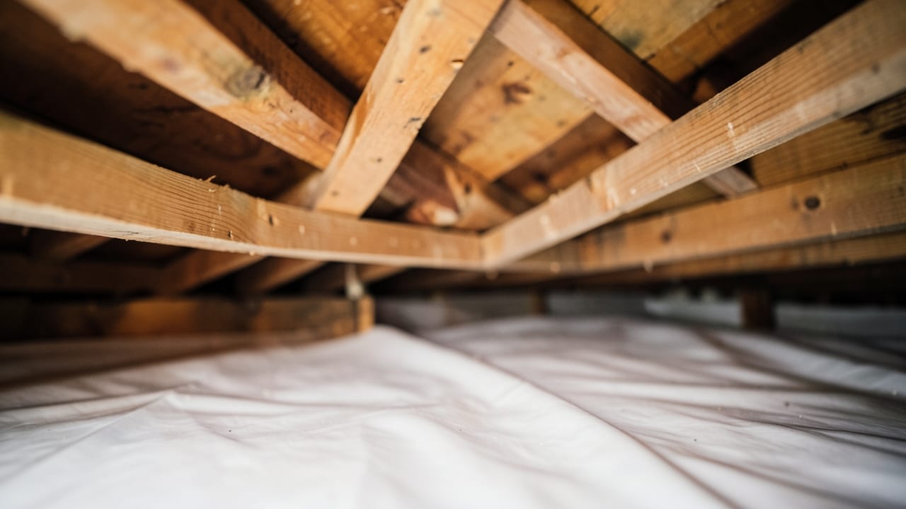 Crawl Space & Basement Mold Remediation in Chesapeake Beach, MD in Chesapeake Beach