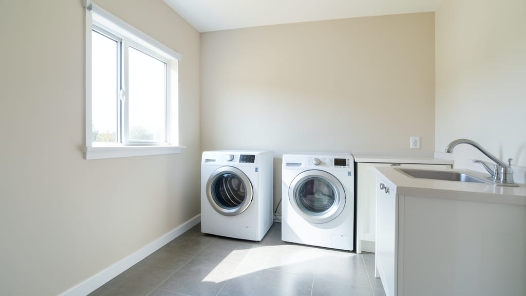 How Professional Mold Remediation Protects Your Family’s Health in Claymont
