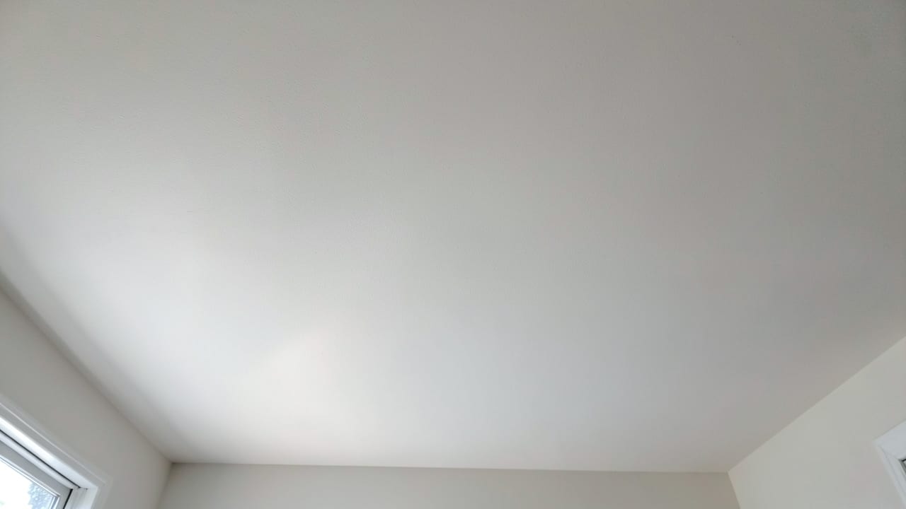 Ceiling Mold Removal in Claymont, DE in Claymont
