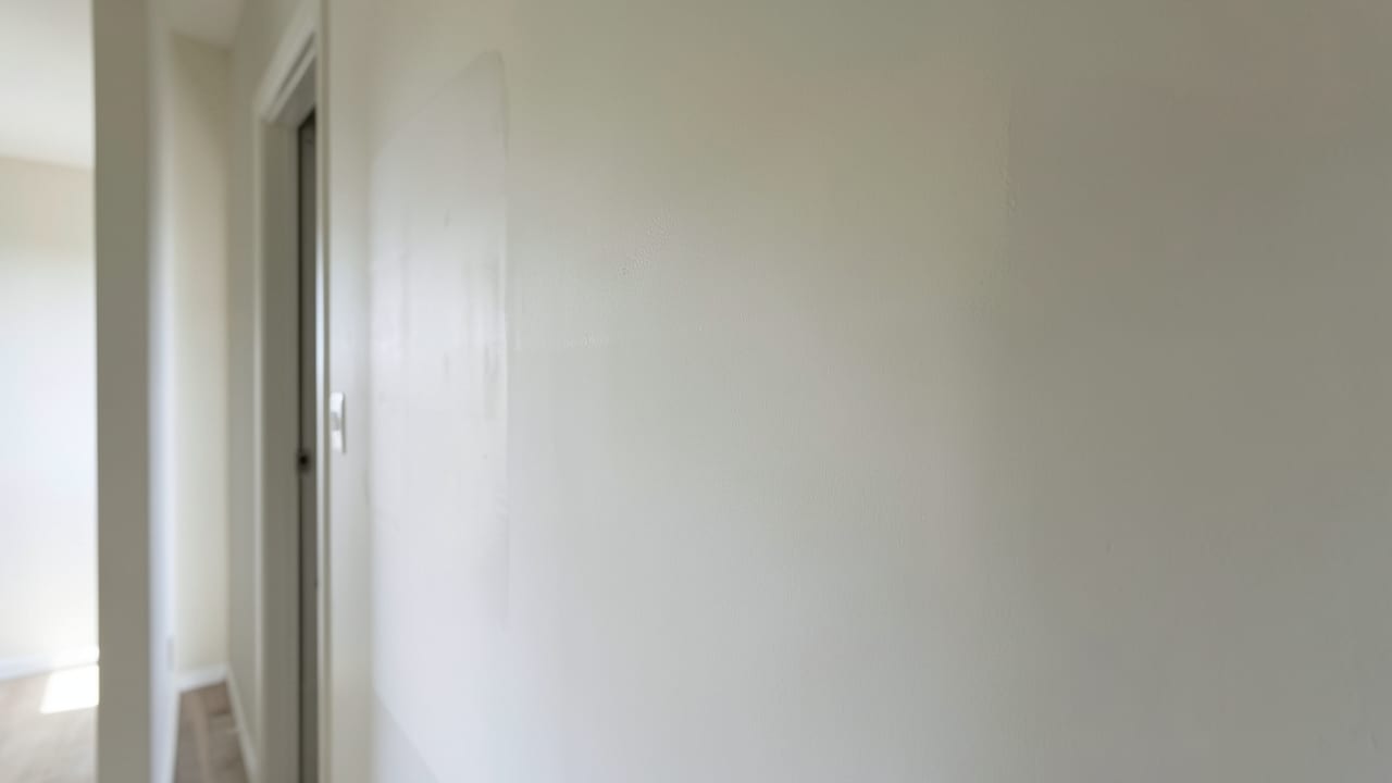 Drywall Mold Remediation in Claymont, DE in Claymont