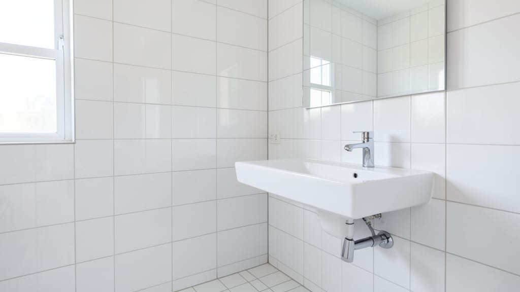Why Accurate Mold Identification Matters for Coconut Creek Homes