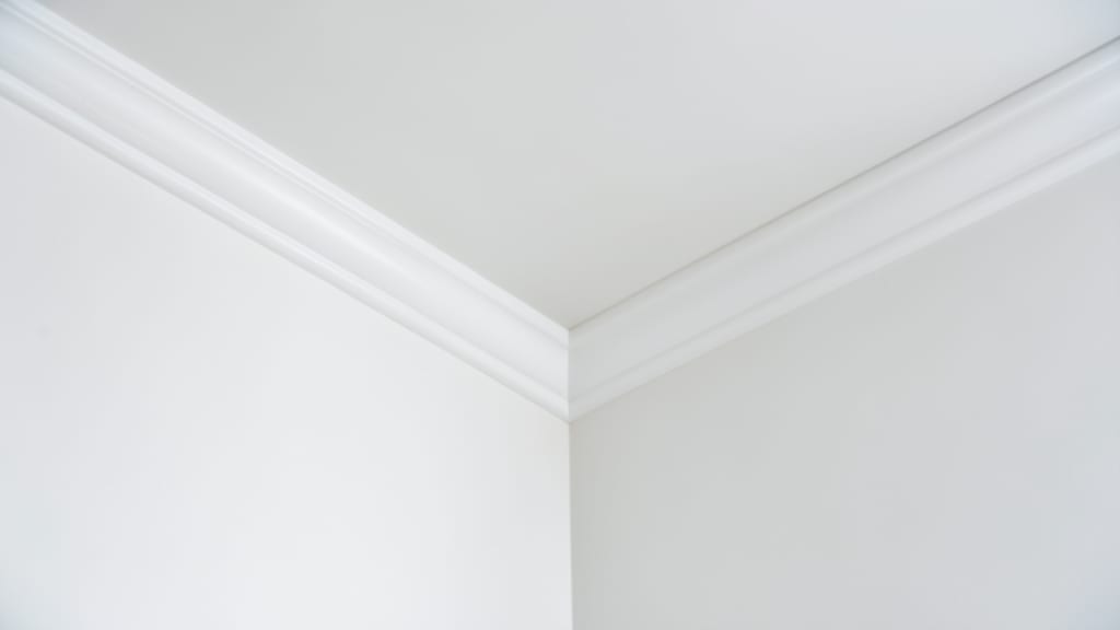 The Hidden Dangers of Incomplete Mold Removal in Coconut Creek
