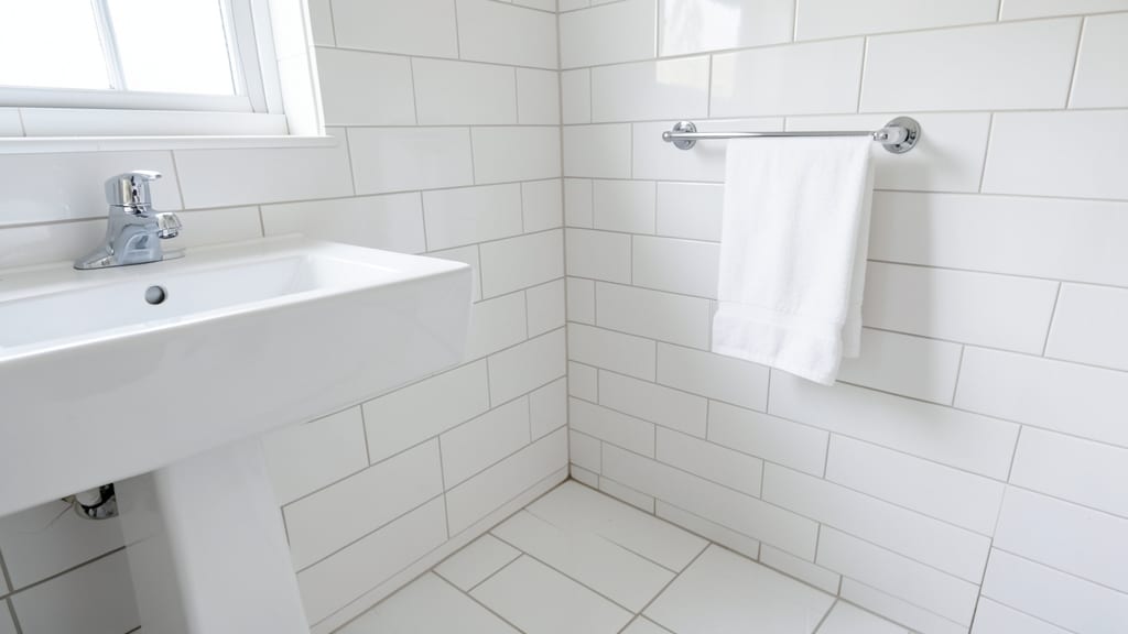 How to Document Mold Remediation for Compliance