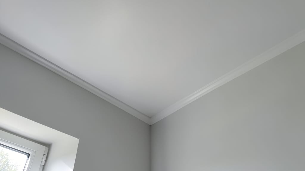 Why Post-Remediation Clearance Testing Matters for Mold