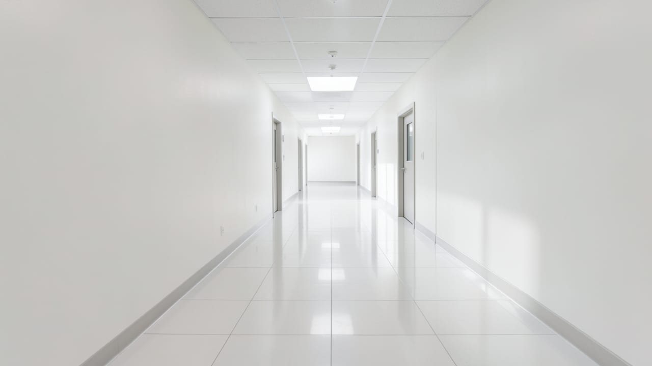 Hospital Mold Removal in Coconut Creek, FL in Coconut Creek