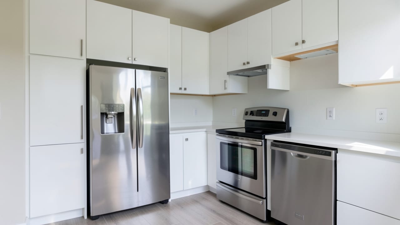 Kitchen Mold Cleanup in Coconut Creek, FL in Coconut Creek