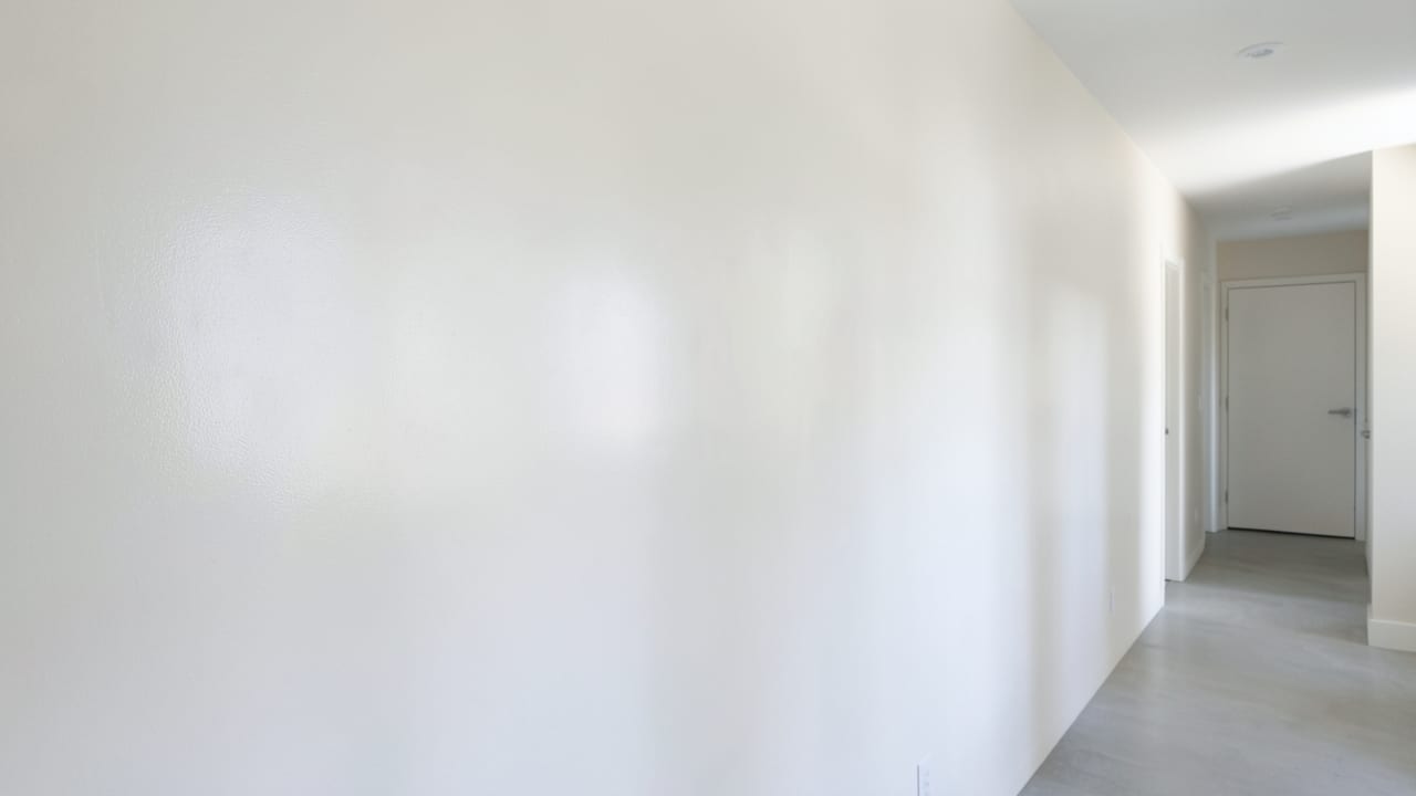 Plaster Mold Remediation in Coconut Creek, FL in Coconut Creek