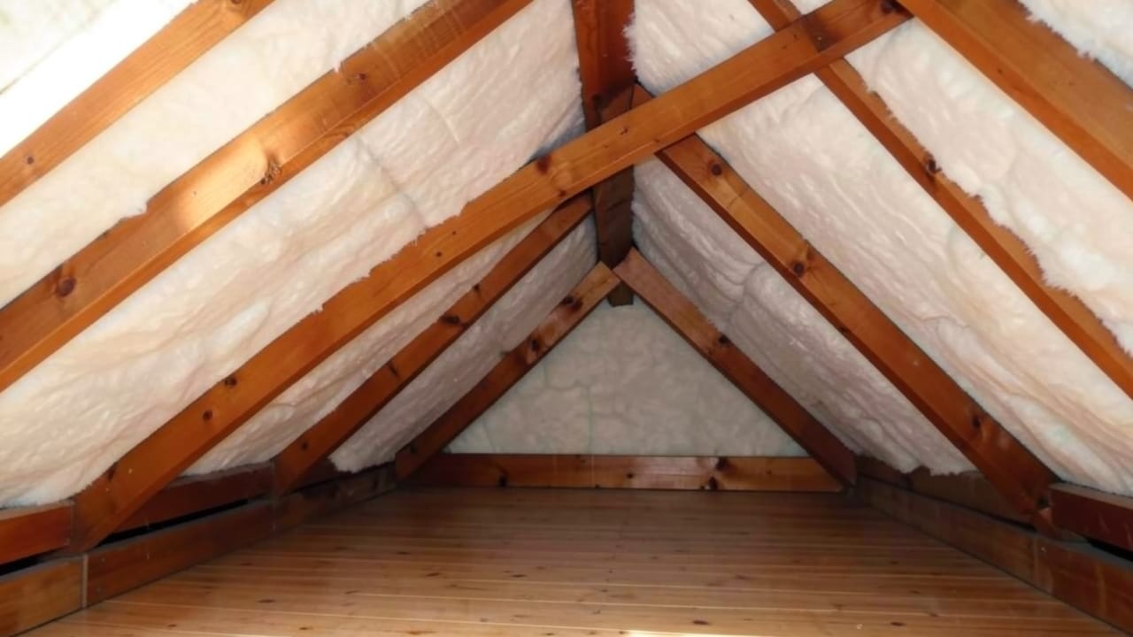Roof Leak Mold Remediation in Coconut Creek, FL in Coconut Creek