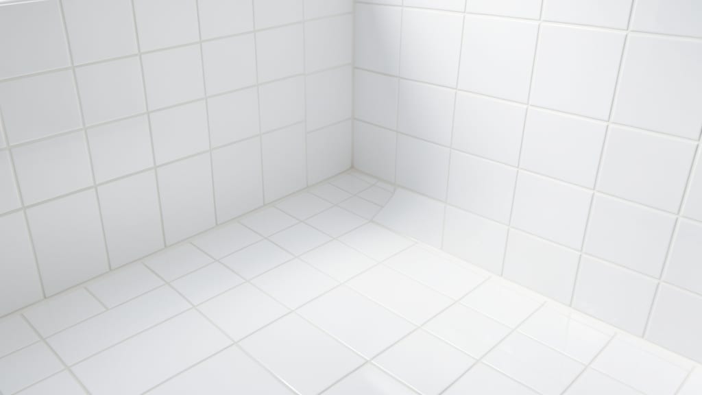 A Step-by-Step Guide to Professional Mold Remediation in Concord
