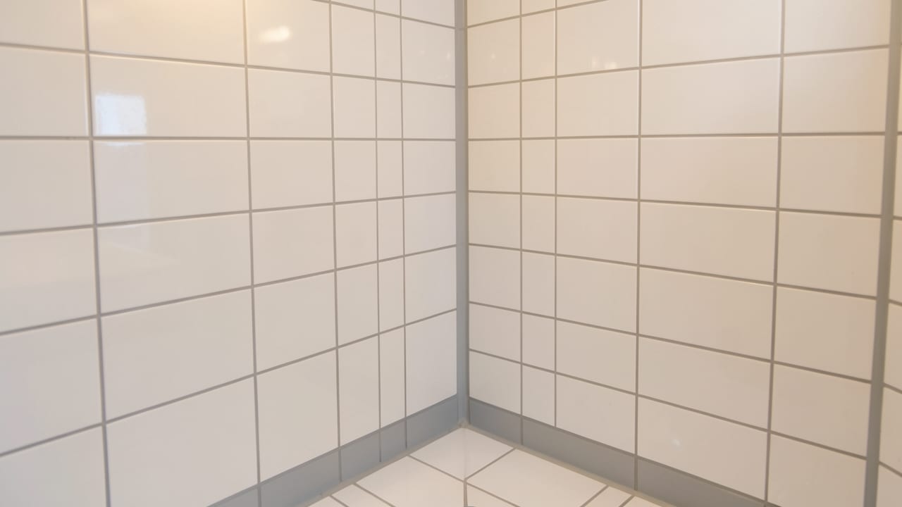 Bathroom Mold Removal in Concord, CA in Concord