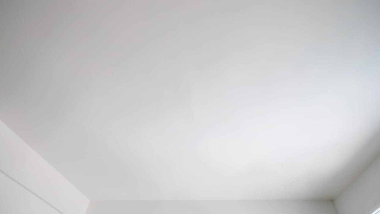 Ceiling Mold Removal in Concord, CA in Concord