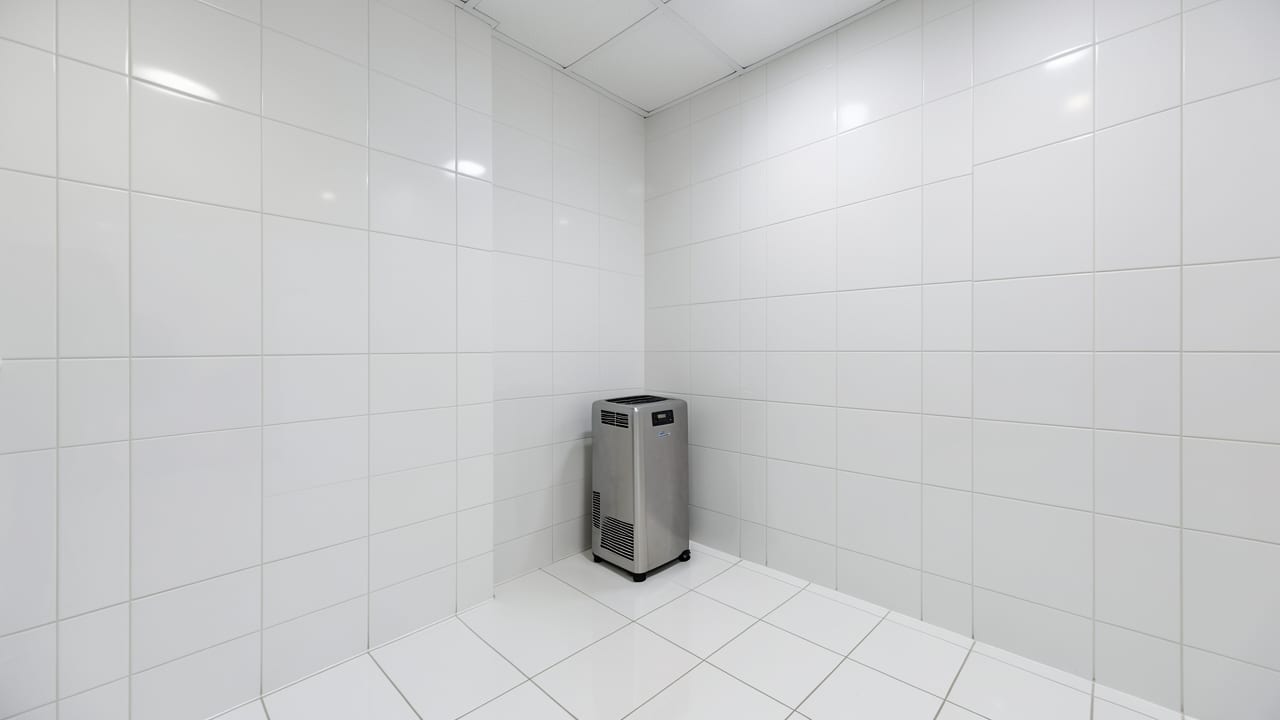 Hotel Mold Remediation in Concord, CA in Concord