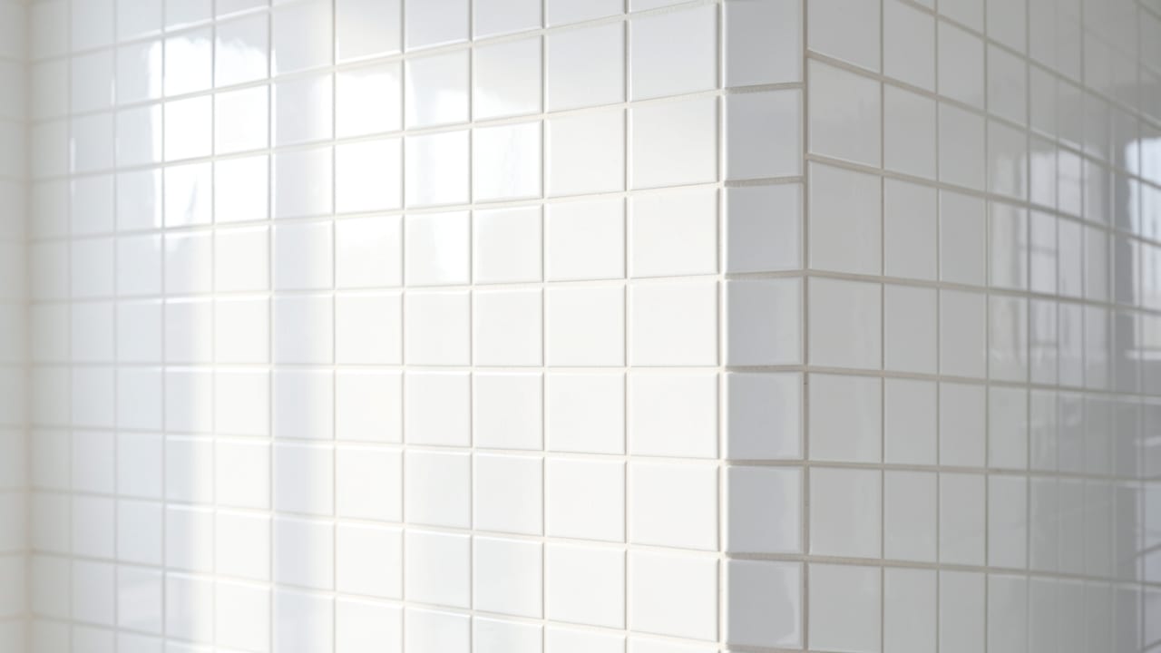 Tile & Grout Mold Cleanup in Concord, CA in Concord