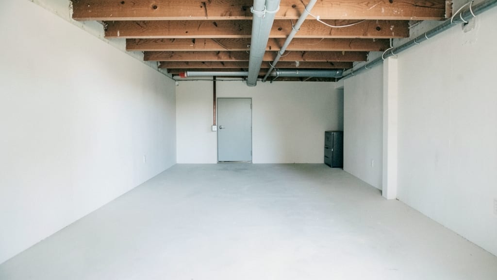 Basement Mold Cleanup Costs and Process Explained in Cumming