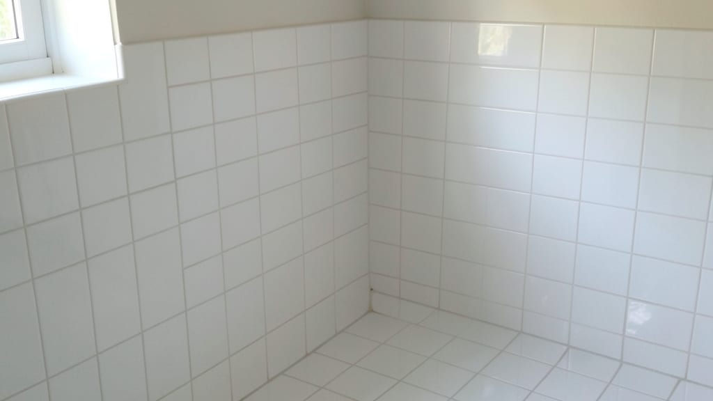Best Dehumidifiers for Mold Prevention in Cumming Homes