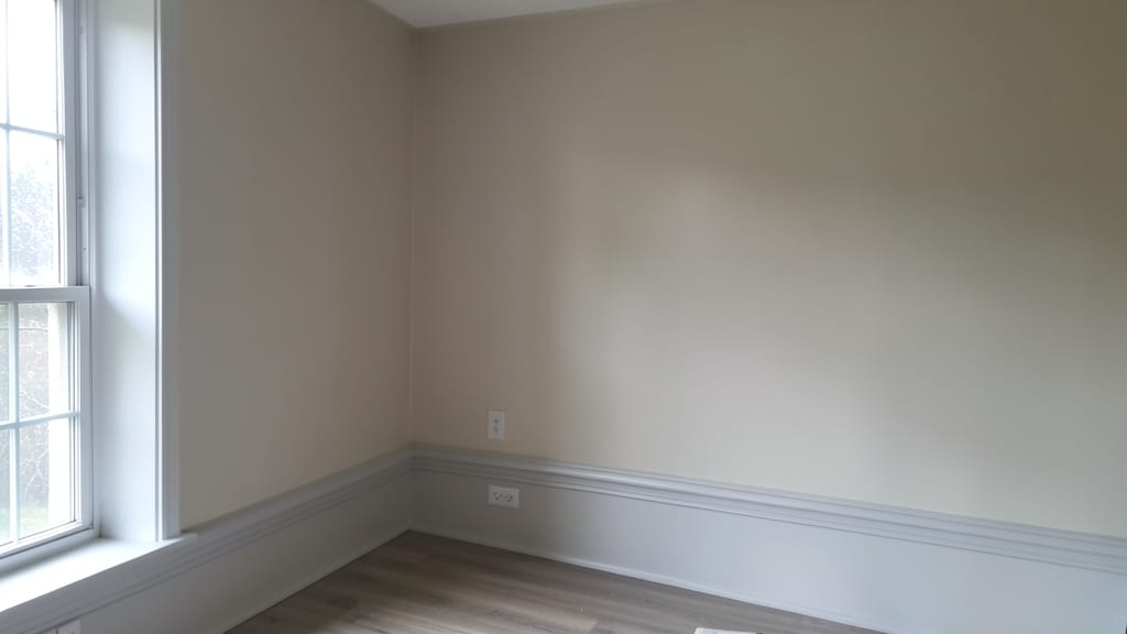 The Hidden Dangers of DIY Mold Removal in Cumming