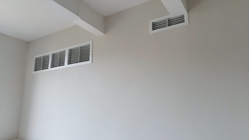 Is It Mold or Mildew in Your Cumming Crawl Space? A Simple