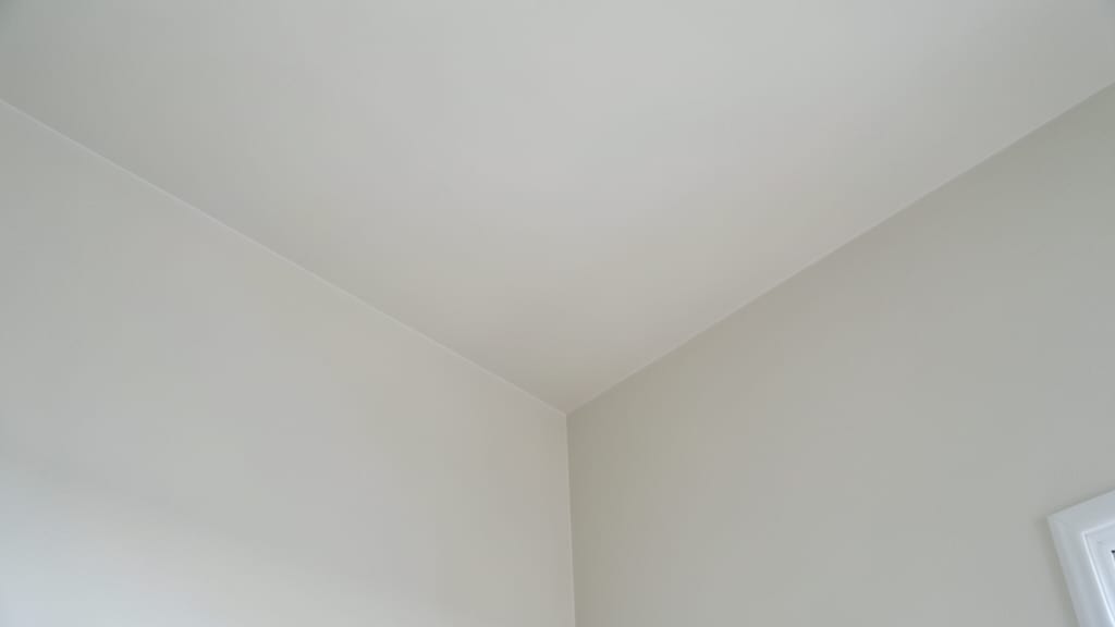 Post-Remediation Mold Prevention
