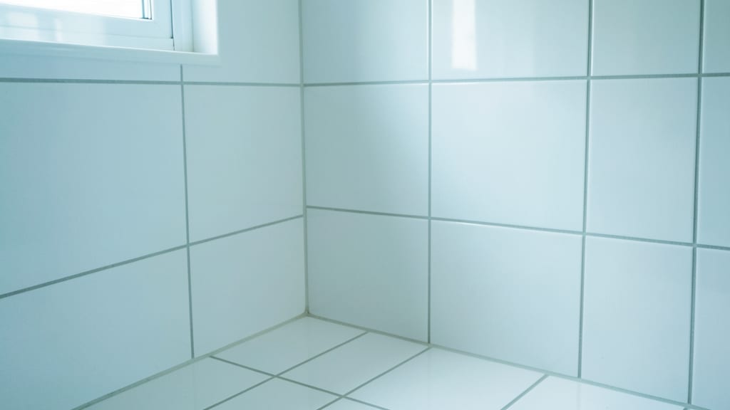Why Proper Ventilation is Key to Stopping Mold Growth in Cumming