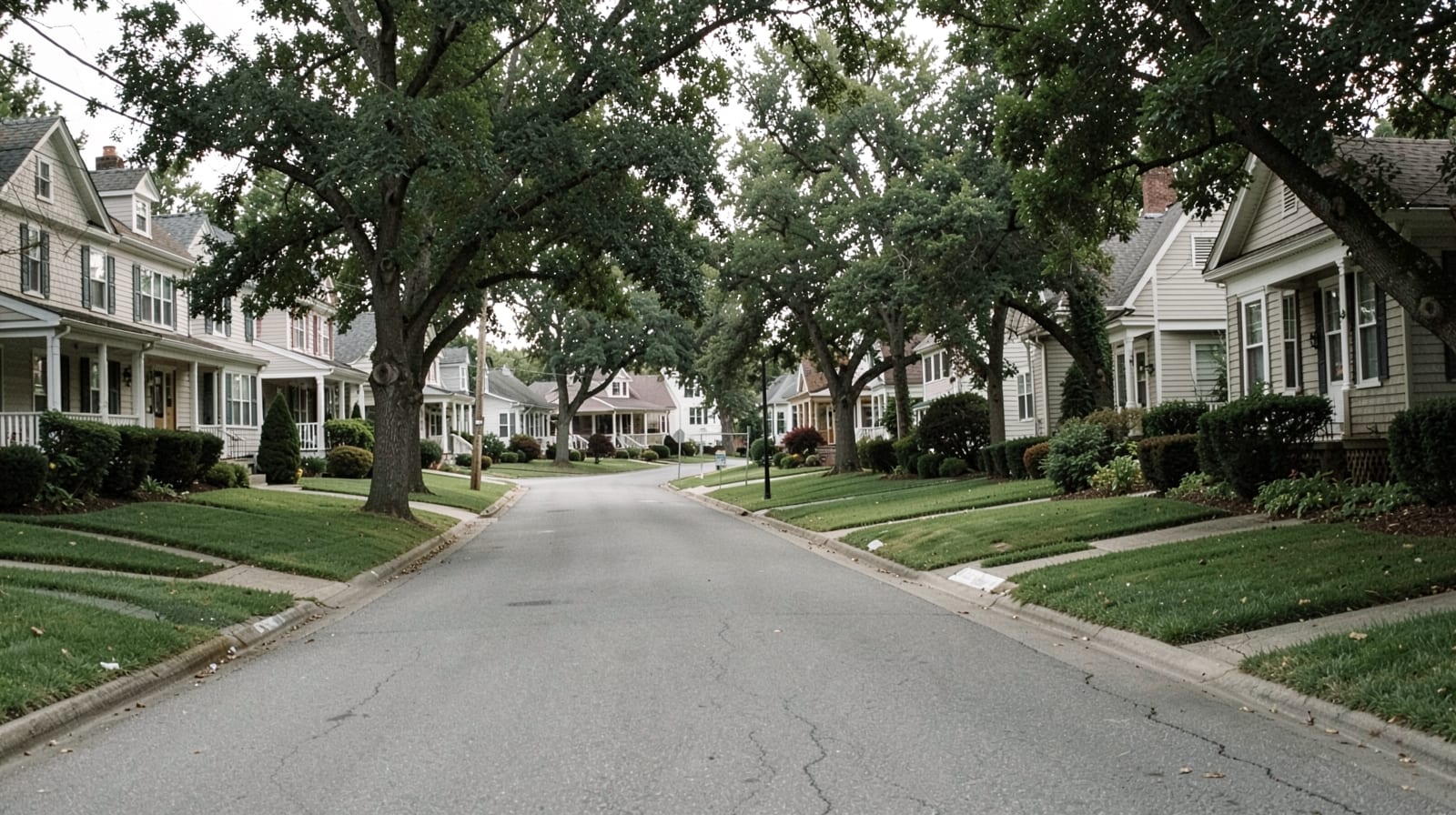 Mold Remediation in Suwanee, GA