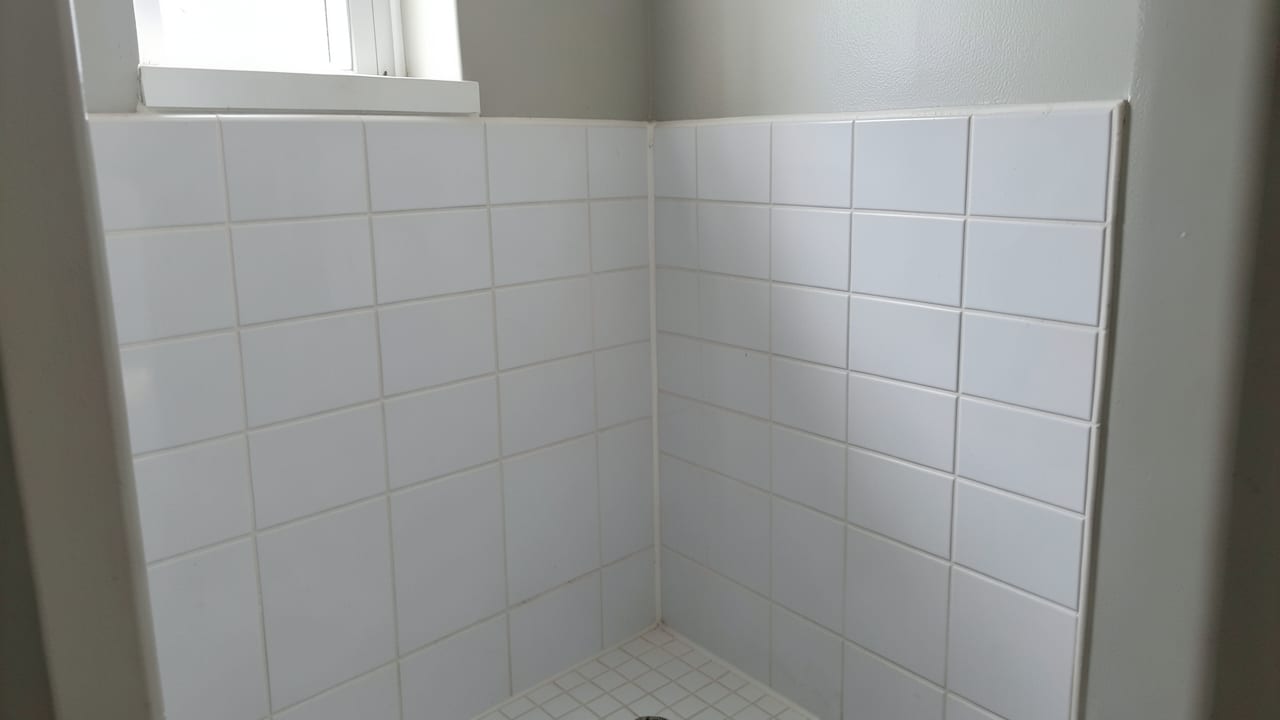 Bathroom Mold Removal in Cumming, GA in Cumming