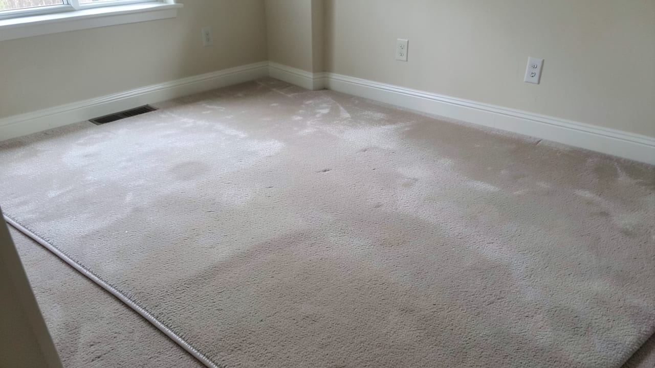Carpet Mold Treatment in Cumming, GA in Cumming