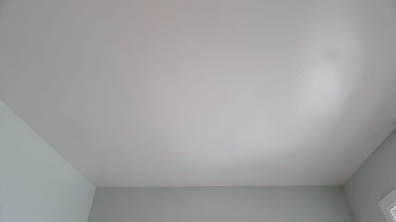Ceiling Mold Removal in Cumming, GA in Cumming