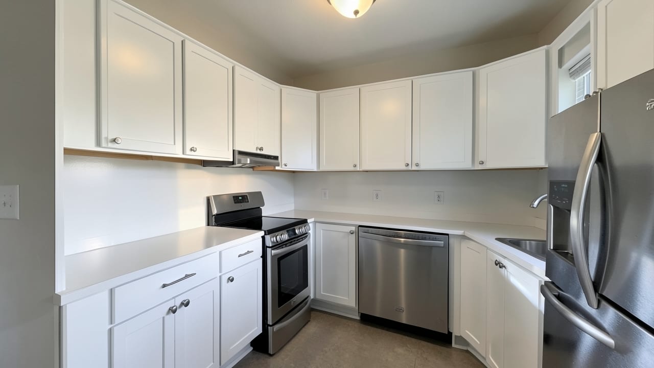 Kitchen Mold Cleanup in Cumming, GA in Cumming