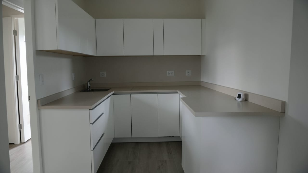 Move-In Mold Assessment in Cumming, GA in Cumming