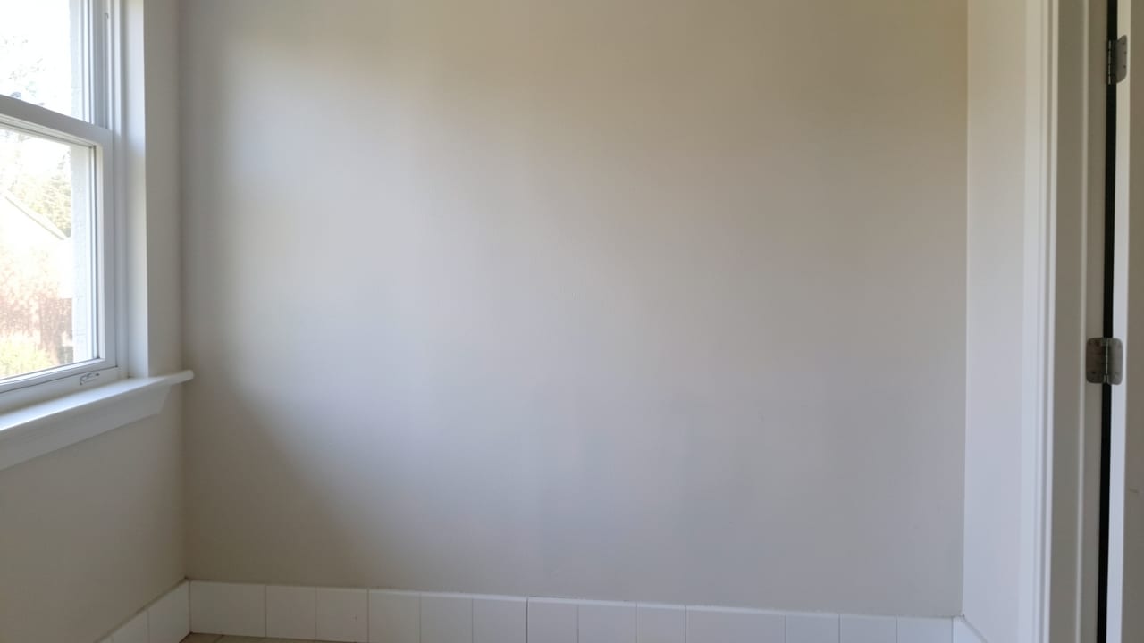 Pipe Leak Mold Removal in Cumming, GA in Cumming
